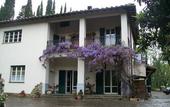Туры в отель Villa Sargiano