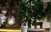 Туры в отель MelRose Relais