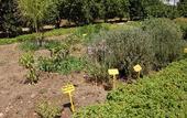 Туры в отель Il Giardino del sole