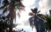Туры в отель Il Giardino del sole
