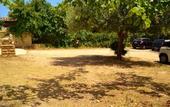 Туры в отель B&B Villa Ambra