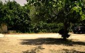 Туры в отель B&B Villa Ambra