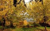 Туры в отель Agriturismo Monte Due Torri