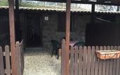 Туры в отель Agriturismo Monte Due Torri