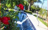Туры в отель Grand Hotel Pacla