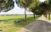 Туры в отель Agriturismo Nerbona