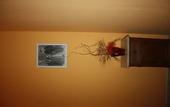 Туры в отель B&B Via Nazionale
