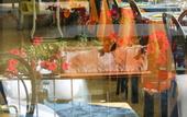 Туры в отель Hotel Lux