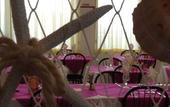 Туры в отель Hotel Lux