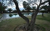 Туры в отель Agriturismo il Drago