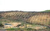Туры в отель Agriturismo il Drago