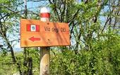 Туры в отель Camping Village Mugello Verde