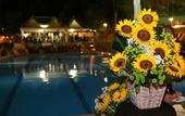 Туры в отель Camping Village Mugello Verde