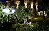 Туры в отель Relais La Corte dei Papi