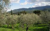 Туры в отель Antica Fonte Residenza di Siena