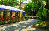 Туры в отель Villaggio Fiori d'Arancio