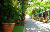 Туры в отель Villaggio Fiori d'Arancio