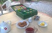 Туры в отель La Mimosa Bed and Breakfast