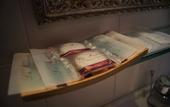 Туры в отель La Mimosa Bed and Breakfast