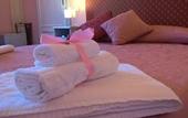 Туры в отель La Mimosa Bed and Breakfast
