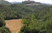 Туры в отель Bosco della Spina