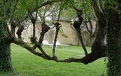 Туры в отель Residence Borgo San Lorenzo a Linari