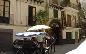 Туры в отель Hotel Cortese