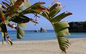 Туры в отель Villa Sunset Bed & Breakfast