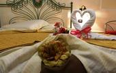 Туры в отель Hotel Oasi