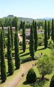 Туры в отель Agriturismo La Sovana