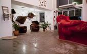 Туры в отель Aiden by Best Western JHD Dunant Hotel