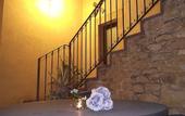 Туры в отель Casale delle Rose
