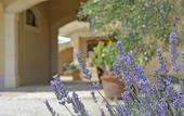 Туры в отель Casale delle Rose