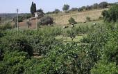 Туры в отель Casale delle Rose