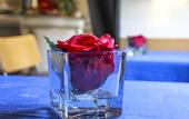 Туры в отель Hotel Soggiorno Athena