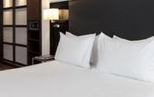 Туры в отель AC Hotel Palacio Universal
