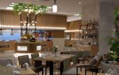Туры в отель Miramare Beach Hotel