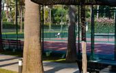Туры в отель Miramare Beach Hotel
