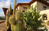 Туры в отель Relais Garden Cactus B&B