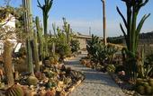 Туры в отель Relais Garden Cactus B&B