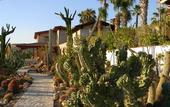 Туры в отель Relais Garden Cactus B&B