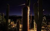 Туры в отель Relais Garden Cactus B&B