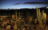Туры в отель Relais Garden Cactus B&B