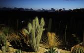 Туры в отель Relais Garden Cactus B&B