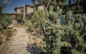 Туры в отель Relais Garden Cactus B&B