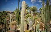 Туры в отель Relais Garden Cactus B&B