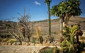 Туры в отель Relais Garden Cactus B&B