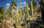 Туры в отель Relais Garden Cactus B&B