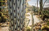 Туры в отель Relais Garden Cactus B&B