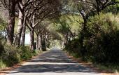 Туры в отель ARLI Hotel Hideaway Punta Ala